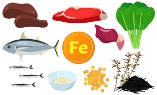 栄養管理の様子